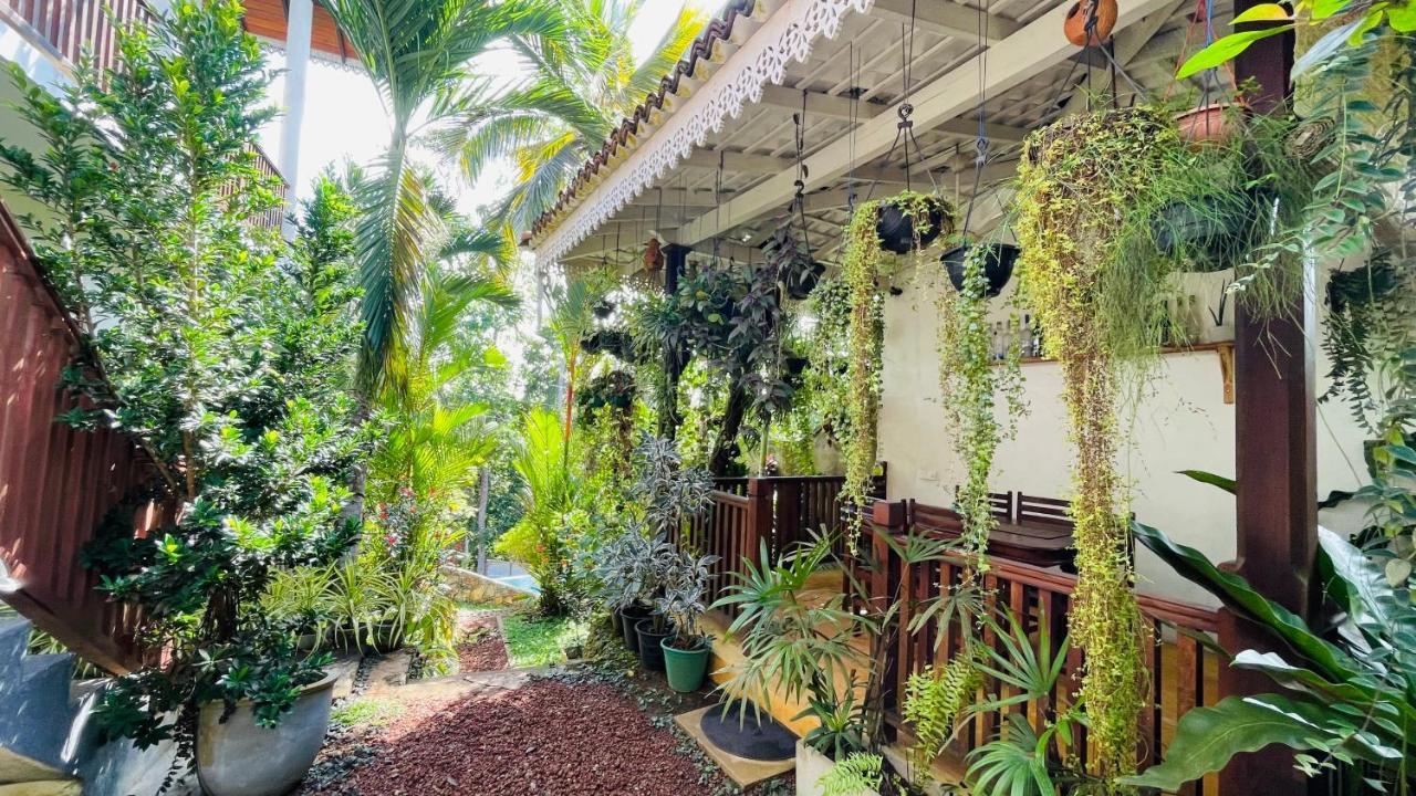 Bouganvilla House 우나와투나 외부 사진